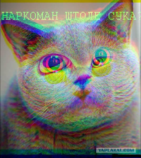 Про РЖД мне ещё расскажите