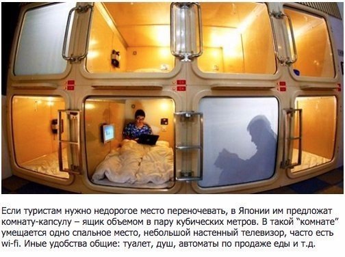Прикольные картинки из интернета