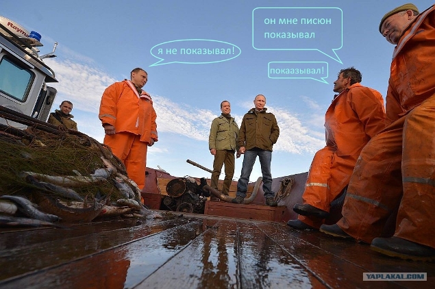 Фотожаба: "Вова и неДимон"