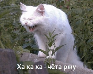 Бл*дство  - это семейное