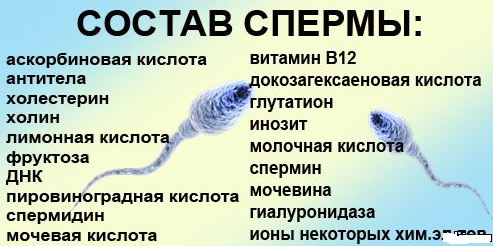 56 неожиданных фактов о большинстве которых вы не знали.