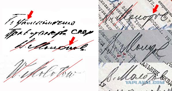 Как доказать, что СССР был союзником Германии (методичка русофоба)