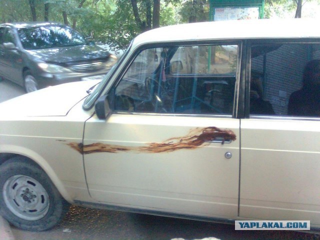 Не растерялась
