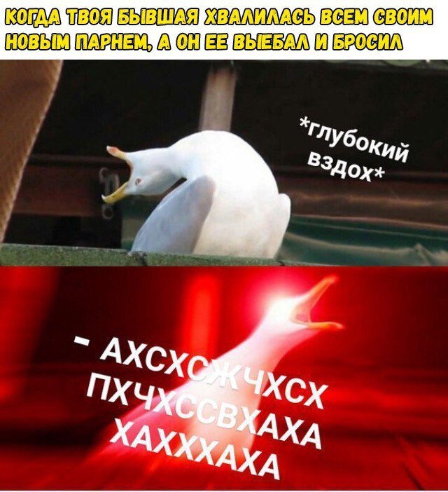 Соц сети