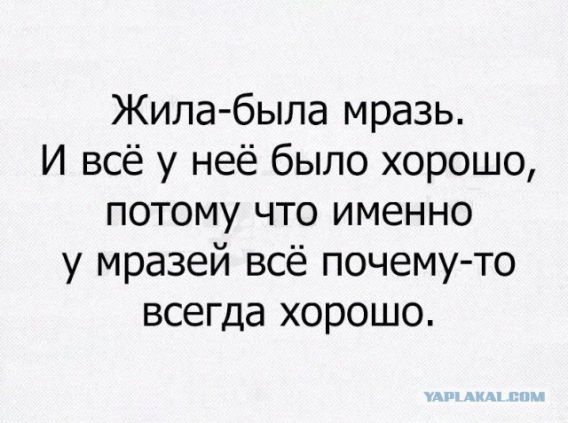 Алисова, насмерть сбившая ребенка в Балашихе, обжаловала приговор.