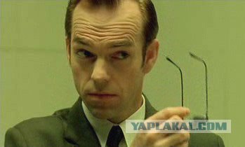 Разгадан эффект дежа вю