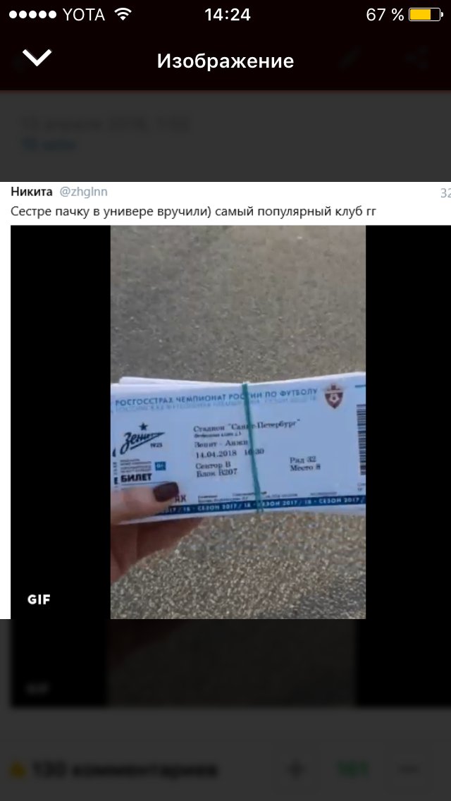 Беседка ФиС ЯПа 6
