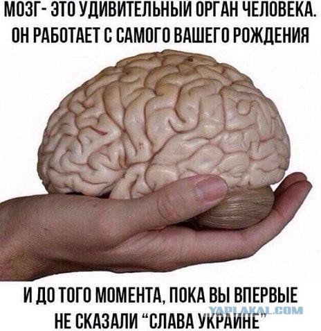 А чем мы отличаемся от Украины?