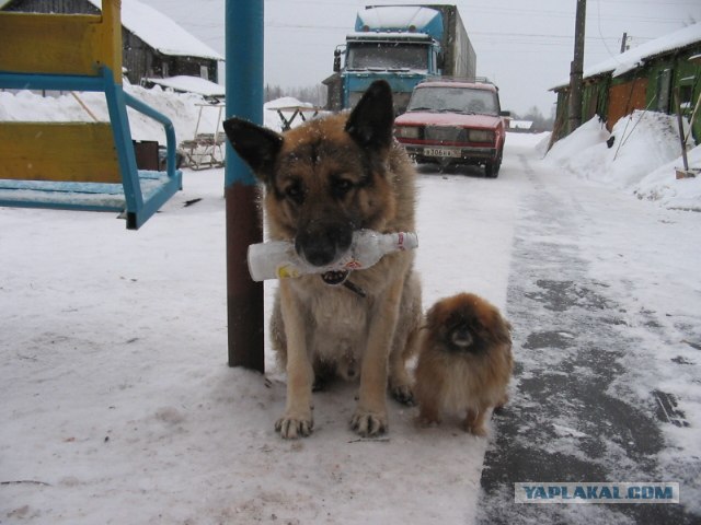 Алкоголизм -это зло!