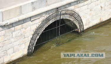 Подборка бесполезных и разных фактов