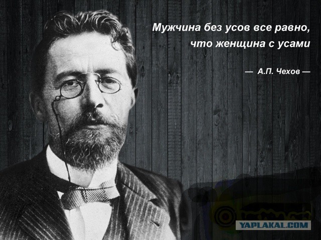 В мужской бороде содержится больше микробов, чем в собачьей шерсти