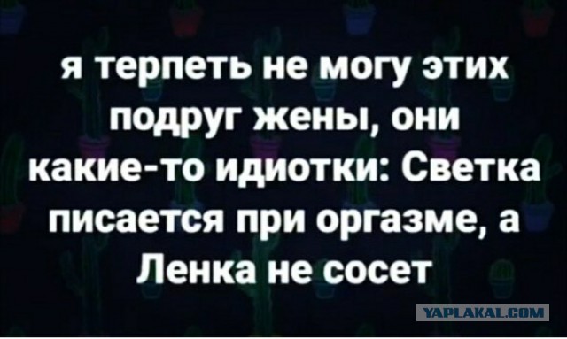 Немного картинок для настроения