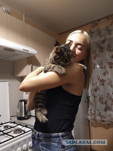 Приютите котика на пару месяцев, пожалуйста!
