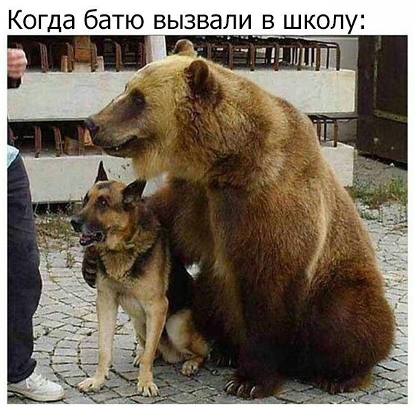 Немного картинок для настроения 12.02.20