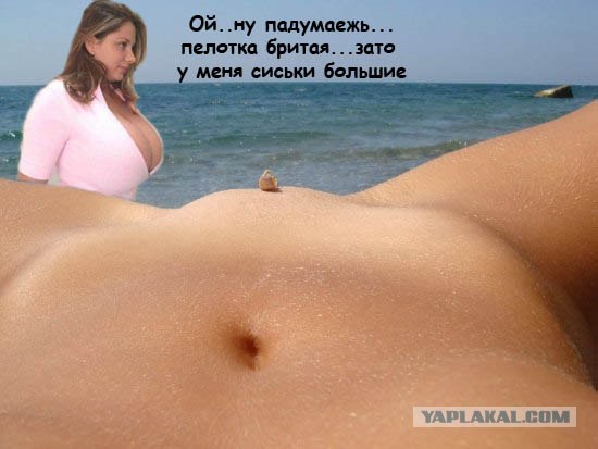 Ракушка и море
