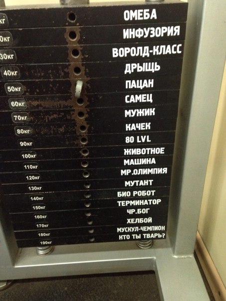 Мужчины научились жить одни. Женщин это сильно злит