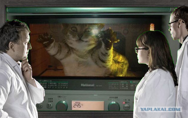 Фотожаба: Что увидели врачи?