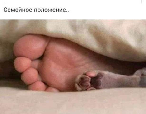 Фотки и картинки: юморные и красивые, забавные и милые 16.09.20