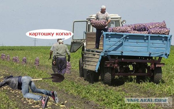 Фотожаба: Сто-о-о-ой!