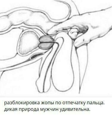Это просто абсурд какой-то!