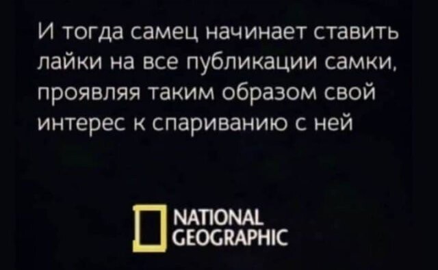 Картинки и мемы для настроения