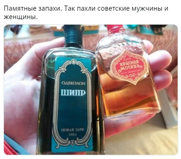 Какой парфюм носим