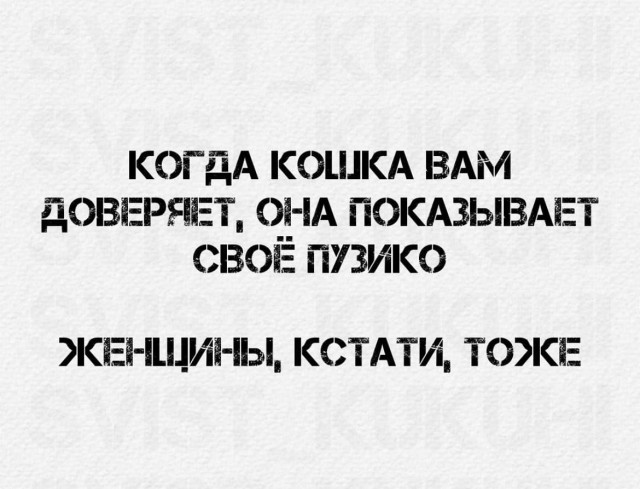 Картинки и мемы для настроения 02.02.2022