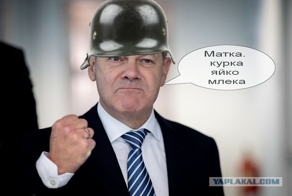«Шольц – мутный»