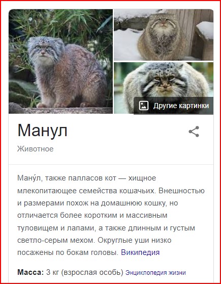 Так себе картинки 05.04.22