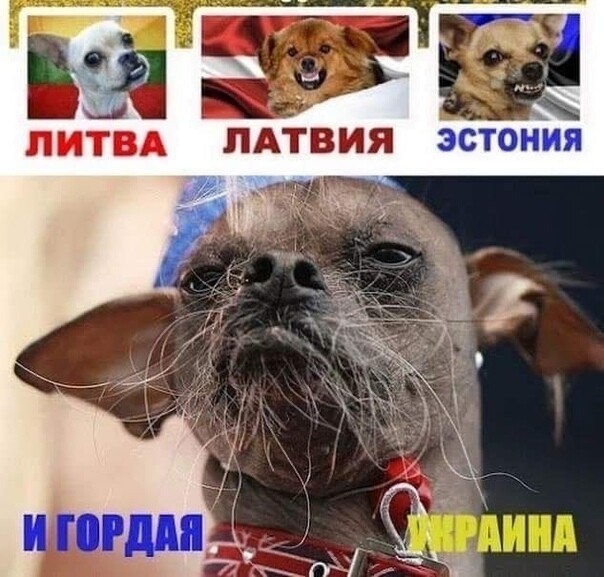 Президенты Польши, Латвии, Литвы и Эстонии сели на поезд и едут в Киев к Зеленскому.