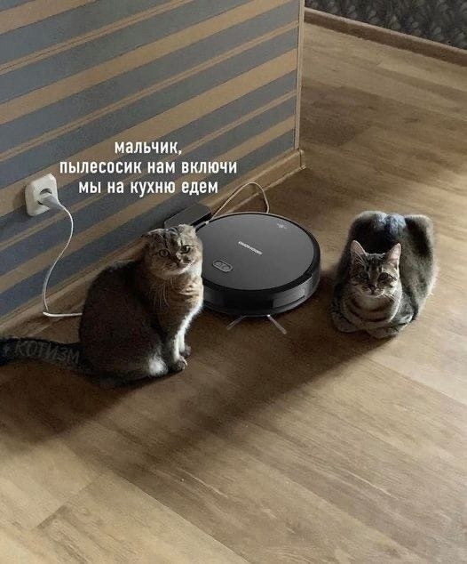 Так себе картинки 01.07.22