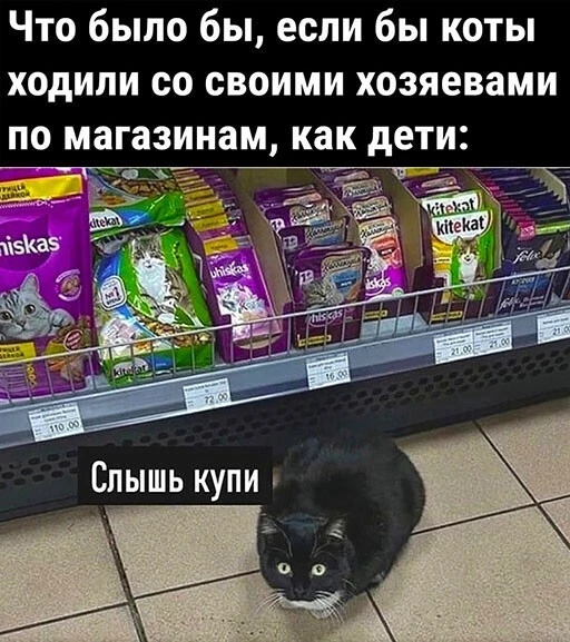 Баянисто-небаянистый юмор 18.07.22