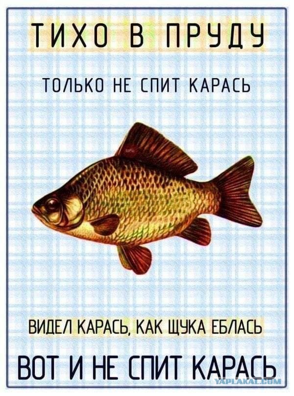 50 оттенков серого или самосвал баянов. Vol. 18. 50 штук.