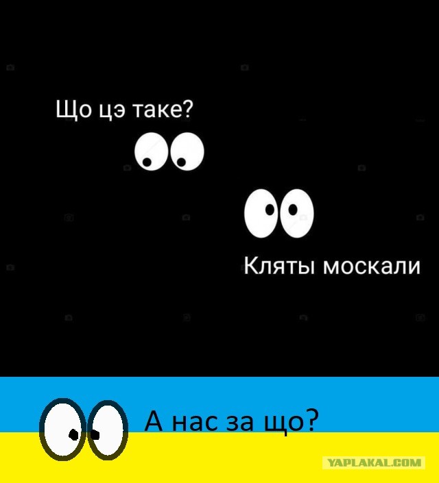 Шо цэ таке?