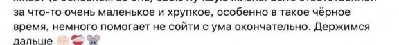 Девушка нашла новорождённого мышонка и решила его вырастить