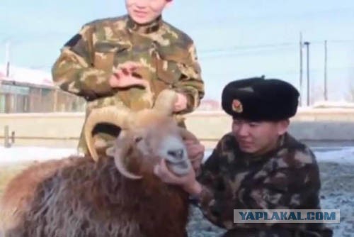 Глава Якутска пообещал семьям мобилизованных бесплатно выдать капусту, лук, картошку и свеклу