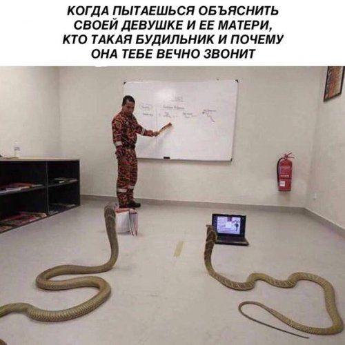 Картинки и мемы, всем хороших выходных