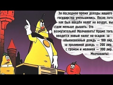 В России может появиться плата за септики и выгребные ямы на участках В Госдуму планируется внести соответствующий законопроект