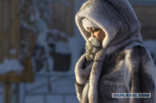 Как живут на «полюсе холода»