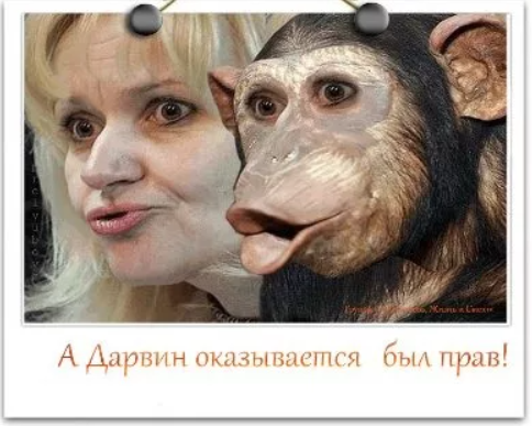 Тока Байрактар