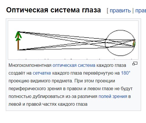 Шайтанамана для поколения тик-тока