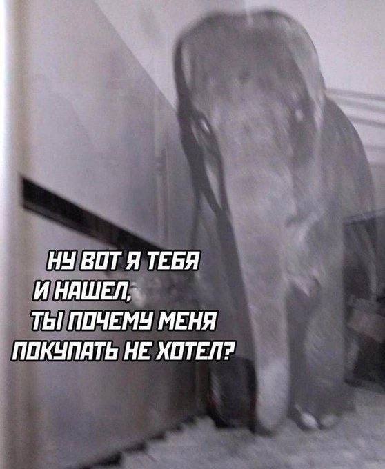 Весёлый полтишок 18.04.23