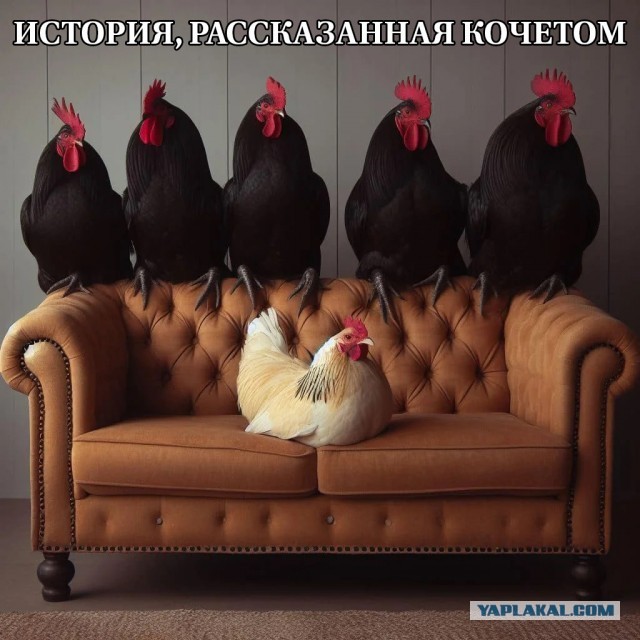 Гайд по женской измене