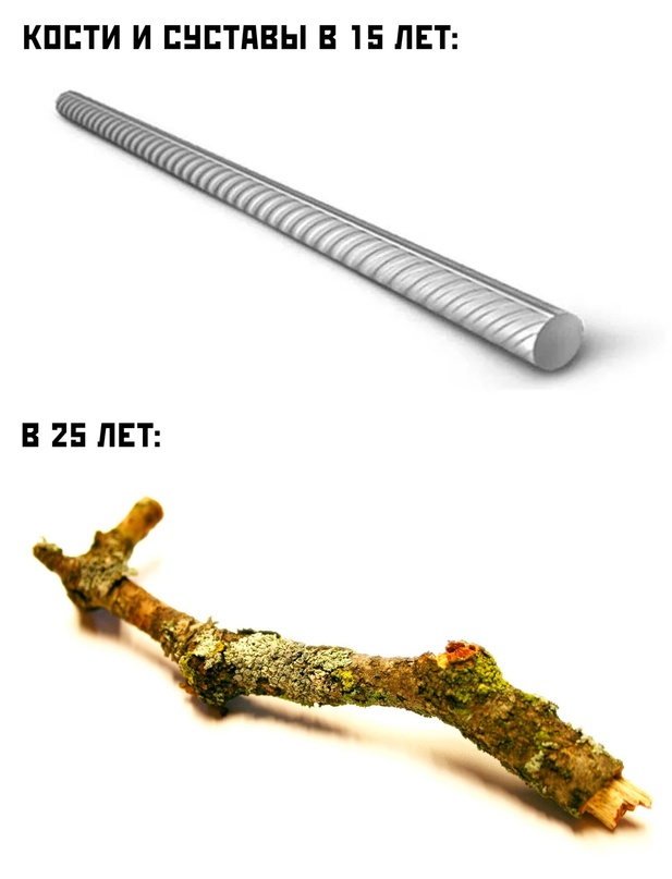 Весёлый полтишок 12.12.2023