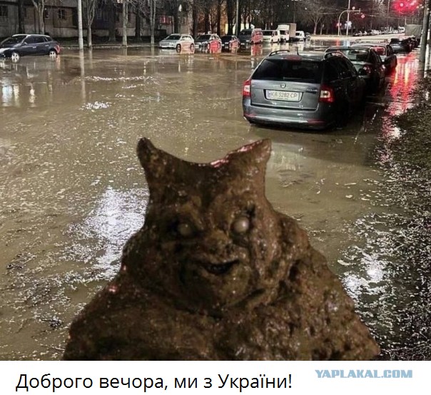 Коричневый Днепр