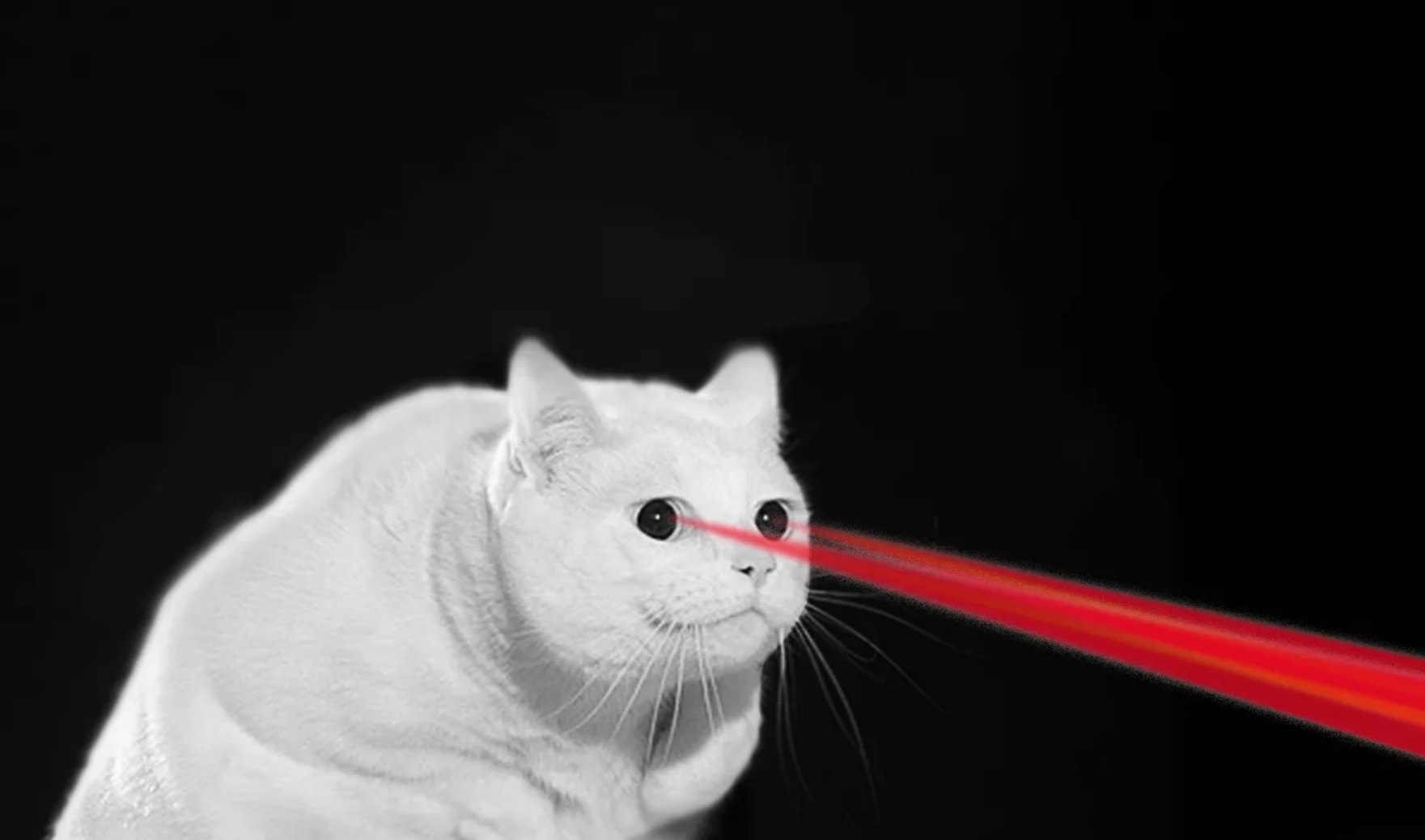 Разблокируй кот. Кот и лазер. Кот с глазами лазерами. Котик с лазерами из глаз. Кот с лучами из глаз.