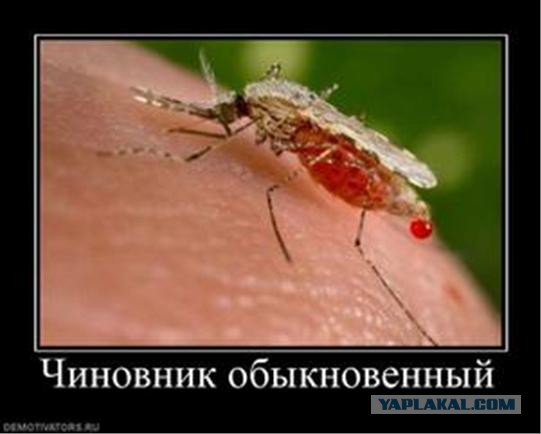 Ордена и медали за капитальный ремонт