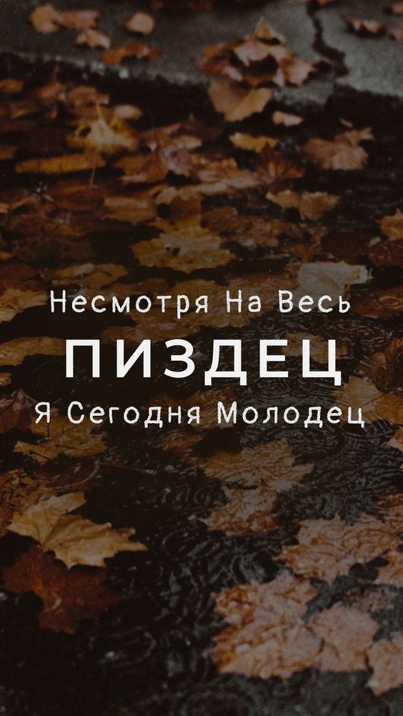 Прикольные и просто красивые картинки