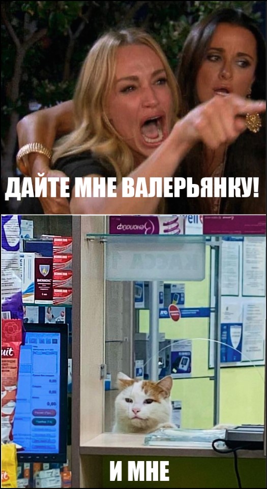 Аптеки и котики