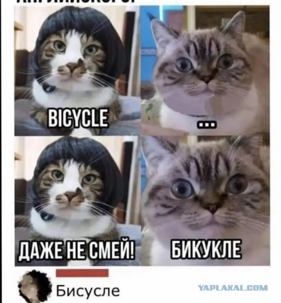 Немного картиночек...